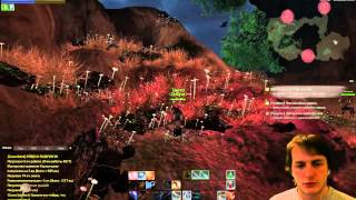 Archeage — [live] AA stream #14 — суровый прямой эфир (фантом: лучник-маг-рога)