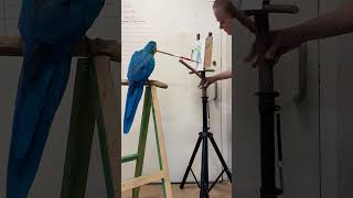 Harley the macaw creates a masterpiece