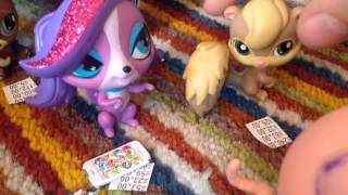 LPS:школа богатых.9 серия.