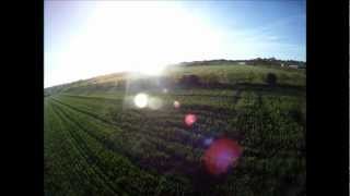FPV T-rex 450 PRO GoPro HD