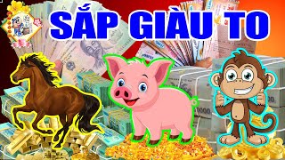 Lời TIÊN TRI Chấn Động: 3 Tuổi Này ĐANG KHỔ Gặp Thời, Đổi Đời ĐẠI GIA, GIÀU CÓ Không Ai Bằng \#2022
