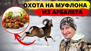 Охота на Муфлона из арбалета ночью / Mouflon hunting with a crossbow in the night
