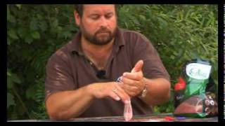 PVA Bags - a Quest Baits Masterclass