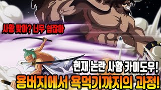 [원피스 정보] 현재 논란 중인 그 사황 카이도우! 용버지에서 욕먹기까지의 과정 정리!!