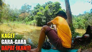 Bertubi Tubi Strike Ikan Sepat