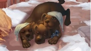 Pet Rescue Saga Level 1528 (no boosters)
