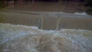 RIO PARAIM FLORES DE GOIAS