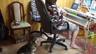Мой главный помощник по вязанию / My main assistant knitting