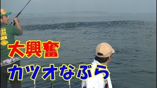 ルアー釣り　カツオなぶらに大興奮！　タイラバ禁止！　壱岐ジギング＆キャスティング