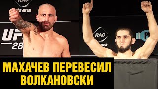 Взвешивание Махачев - Волкановски перед боем на UFC 284