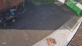 Pisser 2017 May 05 07 45 31