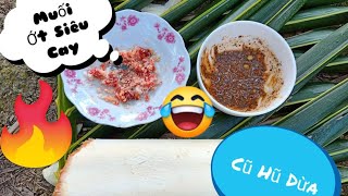 Món Ăn Miền Tây Tập 8 || Thử Lấy Củ Hũ Dừa Chấm Muối Ớt Siêu Cay Và Cái Kết...|| Đức 71 Vlogs