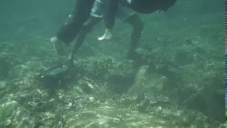 Bad snorkelers filmed trampling and crushing the beautiful coral's at Redang Island Malaysia