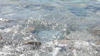 Переезд в Краснодар Чёрное Море 2019 ОНЛАЙН