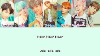 BTS (방탄소년단) - Crow Tit (뱁새) Türkçe altyazılı ColorCoded (HAN:ROM:TR)