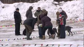 "Клуб охотников и рыболовов" от 07.04.2014
