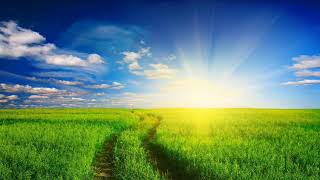 Ангелайт - Путь к Солнцу | Angelight - Way to the Sun