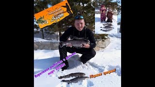 Ловля форели с детьми - март 2018. Открытая вода зимой.