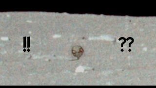 Las 5 Imágenes más Raras de la NASA