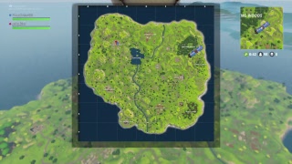FORTNIGHT: BATTLE ROYALE - Duos with idiots
