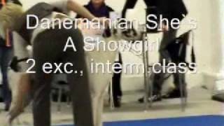 International Dog Show Turku Finland2009 adult females