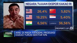 Saat Pandemi, Askindo: Penurunan Kinerja Industri Kakao Capai 10%