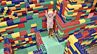 GIANT LEGO MAZE! Puppy vs Baby