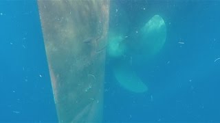 Подводный осмотр винта и пера руля. Танцевальный батл. Продолжение якорной стоянки.