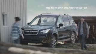 2017 Subaru Forester – Slowpoke | Subaru Canada