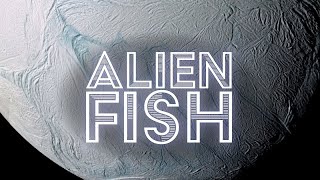 Something's Happening On Enceladus