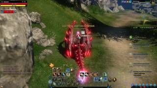Riders Of Icarus Hakanas Gilded Wood Camp Priest Questing
