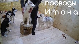 Проводы Итона