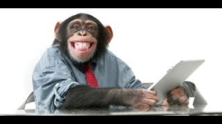 Social Media Monkeys- Give me your money/ buy- FAKE POSITIVE, dance, sing, eat...
