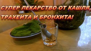 Супер лекарство от кашля, трахеита и бронхита! Рецепт сиропа подорожника