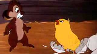 Xem clip  Chip và Dale   Một lần làm gà con   clip chip va dale mot lan lam ga con   Rạp tivi