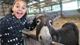 Kids Family Trip To The Farm Feeding Animals - Playground  Kids Educational video