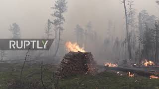 Russia: Firefighting operations continue as fire tears through Yakutia forests