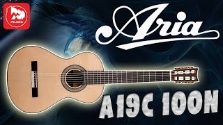 Классическая гитара ARIA A19C 100N