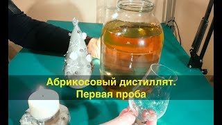 Абрикосовый дистиллят. Первая дегустация.