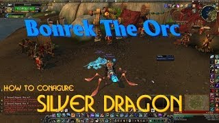 WoW: How To Configure Silver Dragon