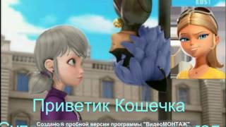 История Кошечки и Эзры помеха Хлоя