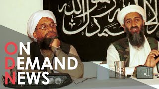 Al-Qaeda Leader Killed in US KNIFE Missile Strike