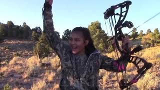 Last day Nevada Archery bull elk.