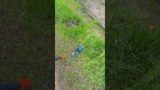 Аккумуляторные ножницы Gardena ClassicCut + ручка