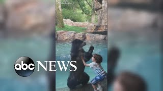 Bear and boy jump for joy