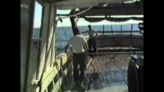 M/P Labrador di Nisio Gasparroni (pesca a strascico 1990)