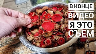Сначала мы ходили за грибами, потом они за нами. Готовим с совами и пробуем красные грибочки