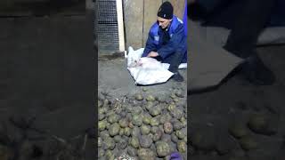 MOV 0317