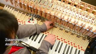 The Celesta Instrument - All about the History, Sound & More (also spelled Celeste)