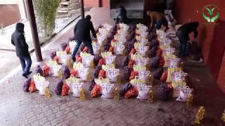 Продуктовая акция 01.12.2018
